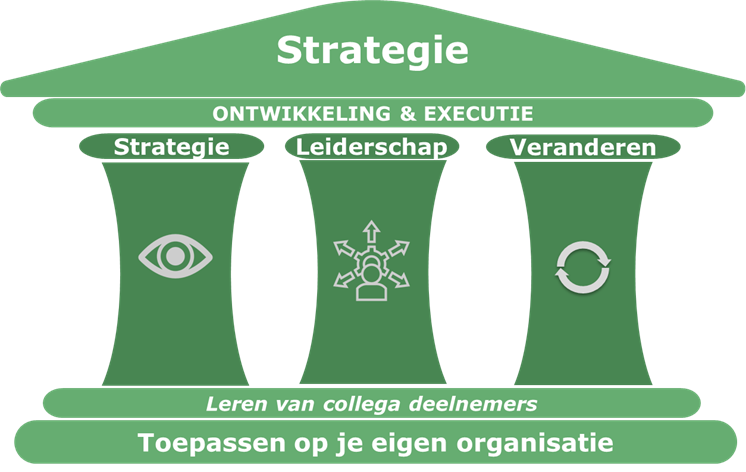 Programmaonderdelen Strategie, Leiderschap en Veranderen