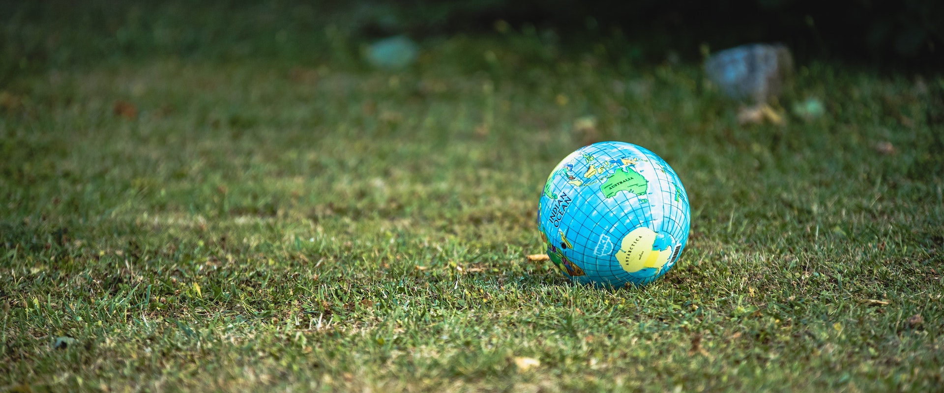 The Best of Both Worlds: Creating Sustainable Business Models