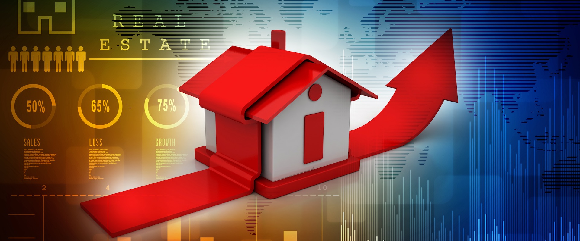 Dutch Housing Market: Facts and Fads