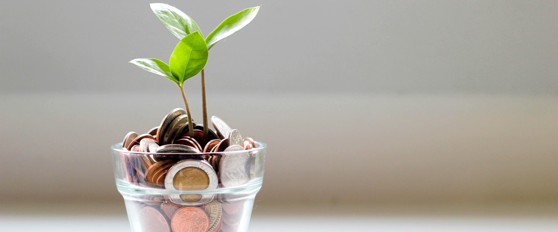 A Detailed Look at the Dutch Retirement System